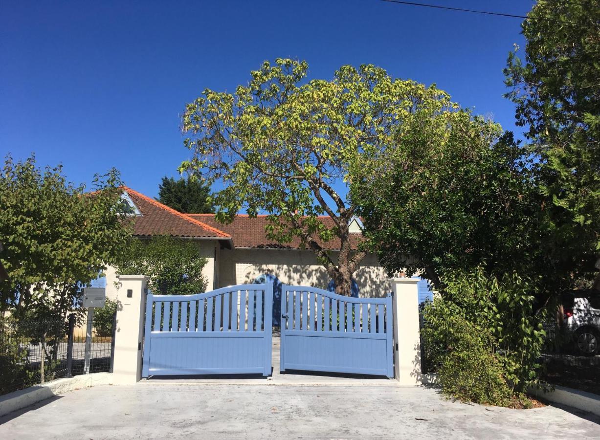 Saint-Jean  Chambres D'Hote Le Cedre Bleu المظهر الخارجي الصورة